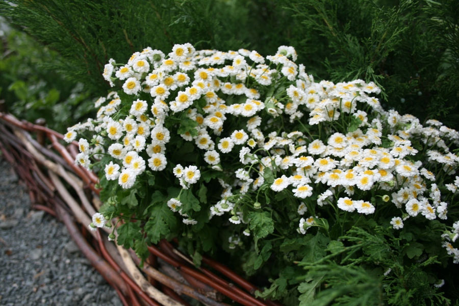 В симферопольском парке Рериха создали «русский уголок»