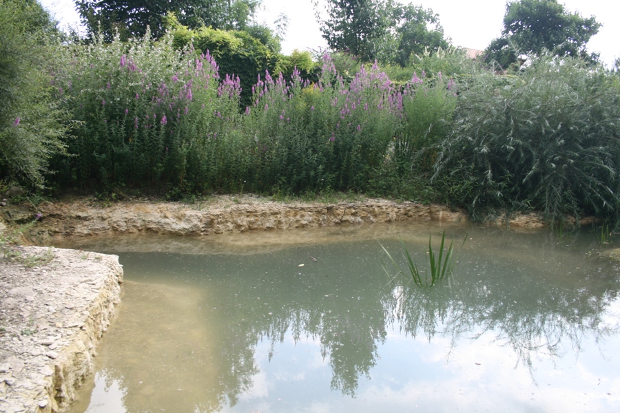 В симферопольском парке Рериха создали «русский уголок»