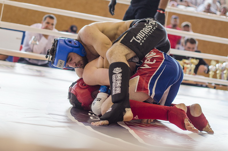 В Севастополе состоялся российский турнир по единоборствам среди правоохранителей