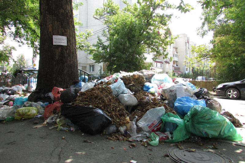 С одной из центральных улиц Симферополя перестали вывозить мусор