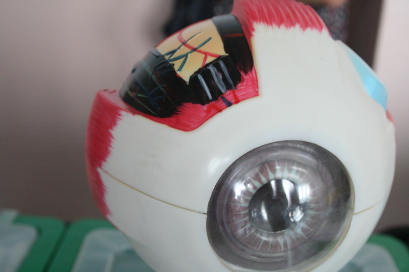 В Симферополе дети с нарушением слуха получили интерактивные кабинеты химии и истории