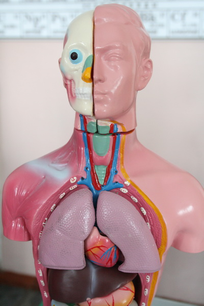 В Симферополе дети с нарушением слуха получили интерактивные кабинеты химии и истории