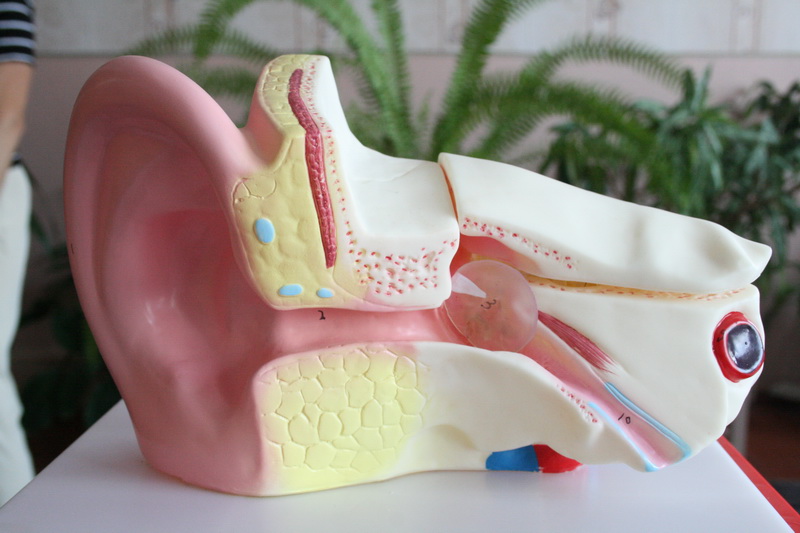 В Симферополе дети с нарушением слуха получили интерактивные кабинеты химии и истории