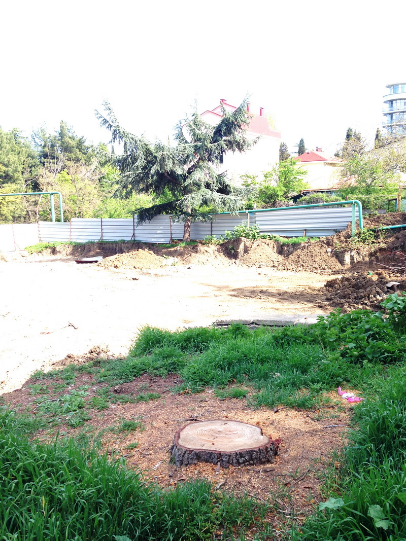 В Алуште расторгнут договор с застройщиком, вырубившим деревья в парке