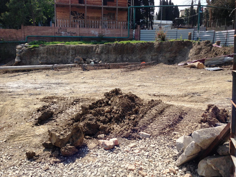 В Алуште расторгнут договор с застройщиком, вырубившим деревья в парке