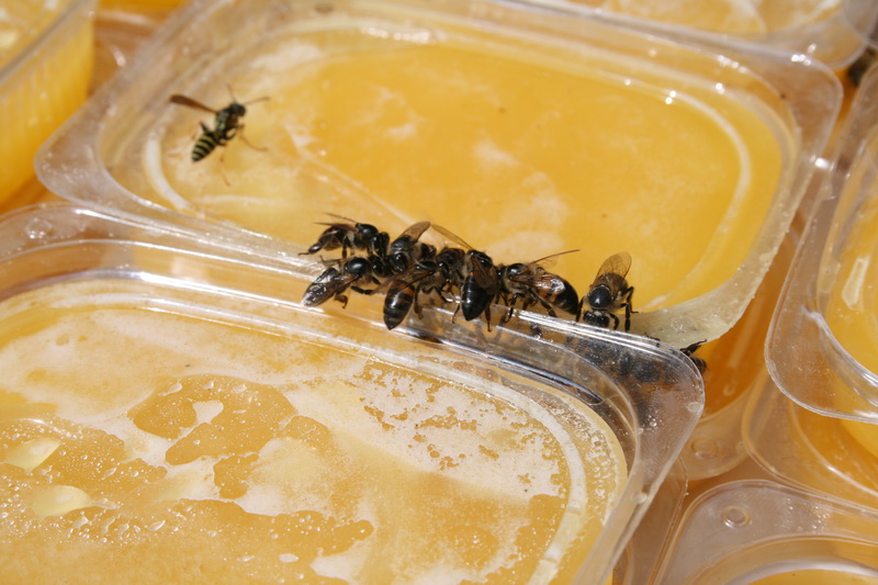 Жители Симферополя отмечают Яблочный спас