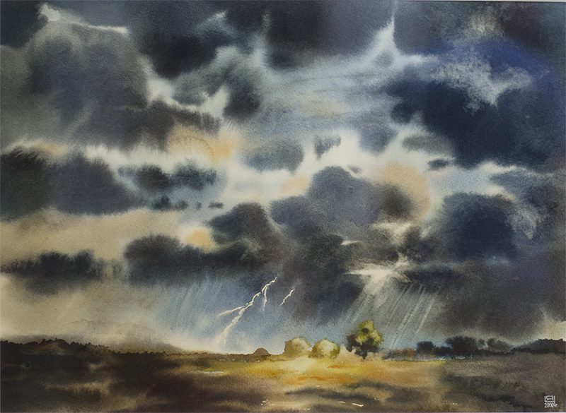 В Севастополе открылась выставка Яны Чиж