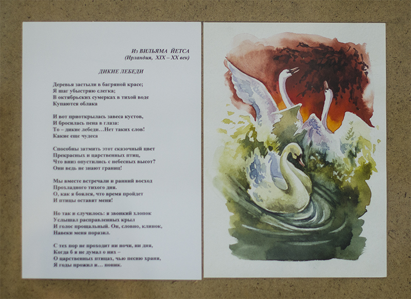 В Севастополе открылась выставка Яны Чиж