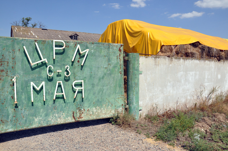 На молочную ферму в Первомайском районе к ноябрю прибудет первая тысяча коров