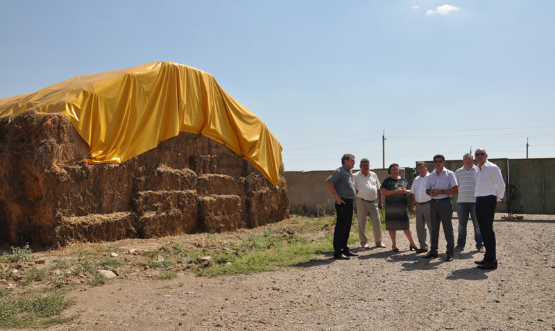 На молочную ферму в Первомайском районе к ноябрю прибудет первая тысяча коров