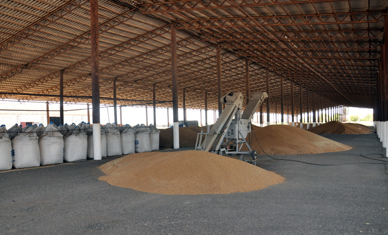 На молочную ферму в Первомайском районе к ноябрю прибудет первая тысяча коров