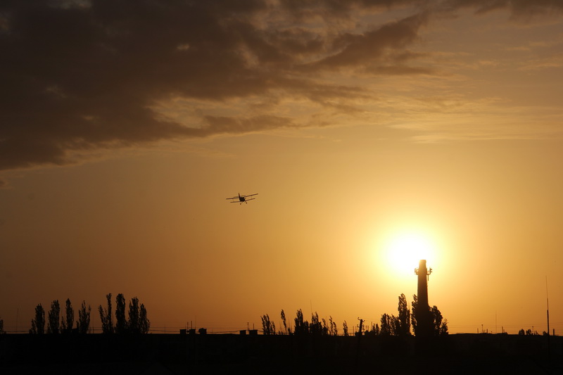 В Феодосии стартовал фестиваль «Воздушное братство»