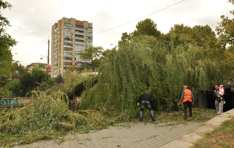 В центре Симферополе стихия повалила около 15 деревьев