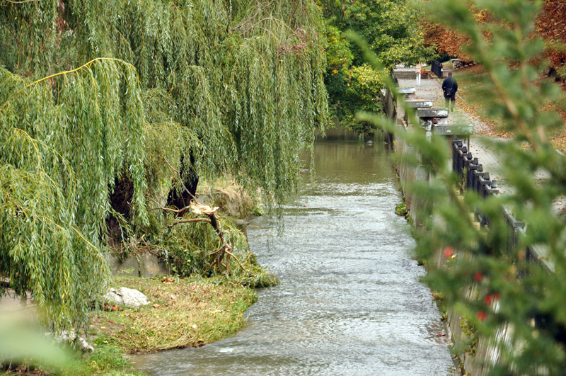 В центре Симферополе стихия повалила около 15 деревьев