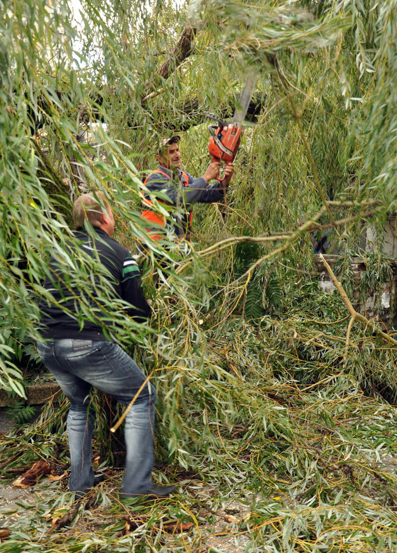 В центре Симферополе стихия повалила около 15 деревьев