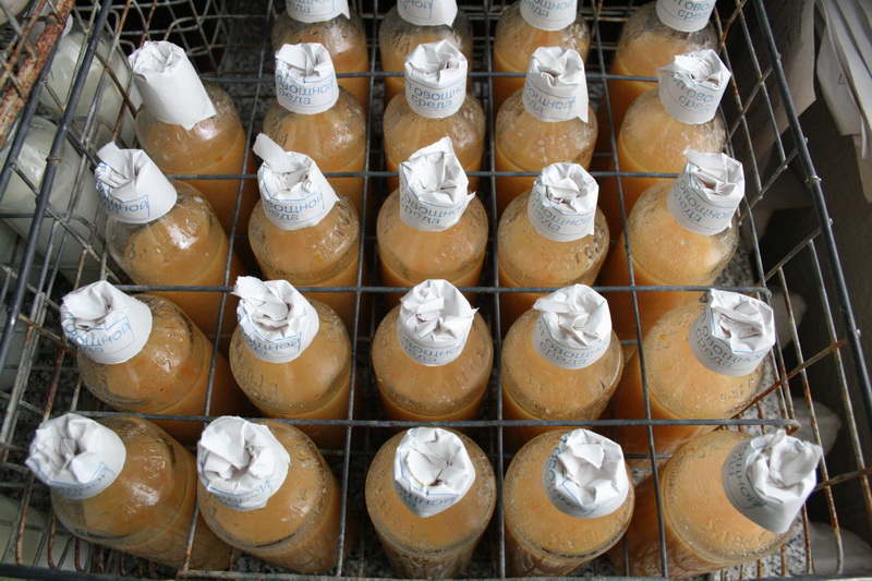 Единственная молочная кухня в Крыму под угрозой закрытия