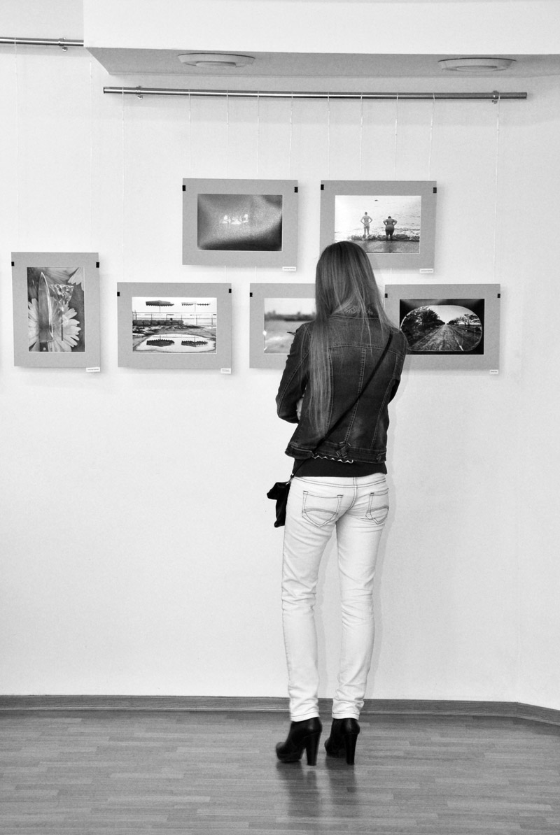 В Симферополе открылась фотовыставка, посвященная лету