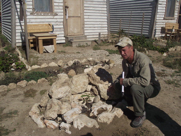 Экологи предлагают восстановить леса в западном Крыму