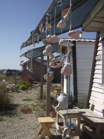 Экологи предлагают восстановить леса в западном Крыму