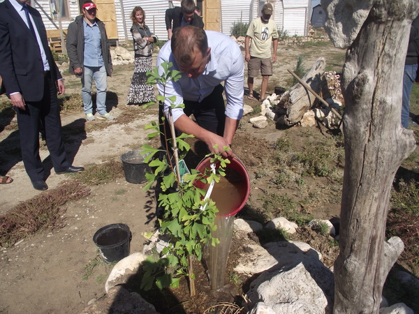 В Крыму стартовал экологический фестиваль «Море леса»