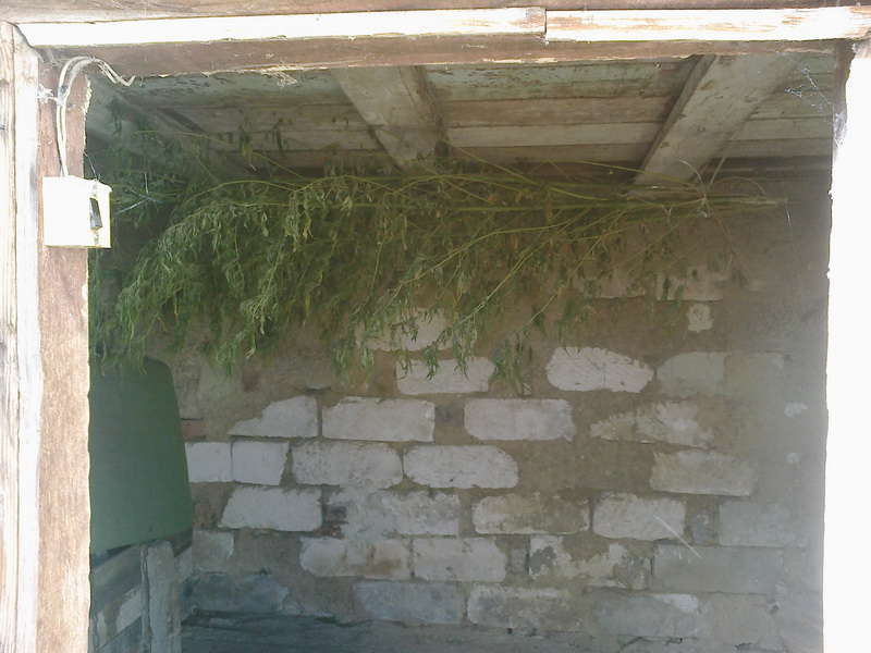 В Кировском районе выявили пять фактов хранения наркотиков