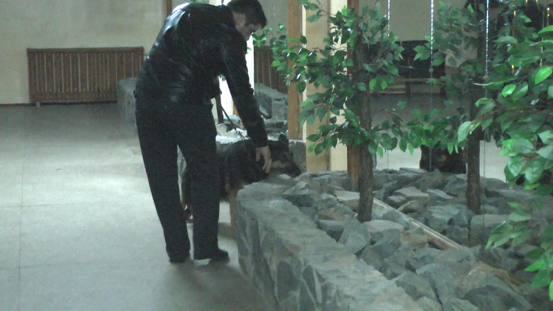 «Минером» школы в Симферополе оказался второклассник