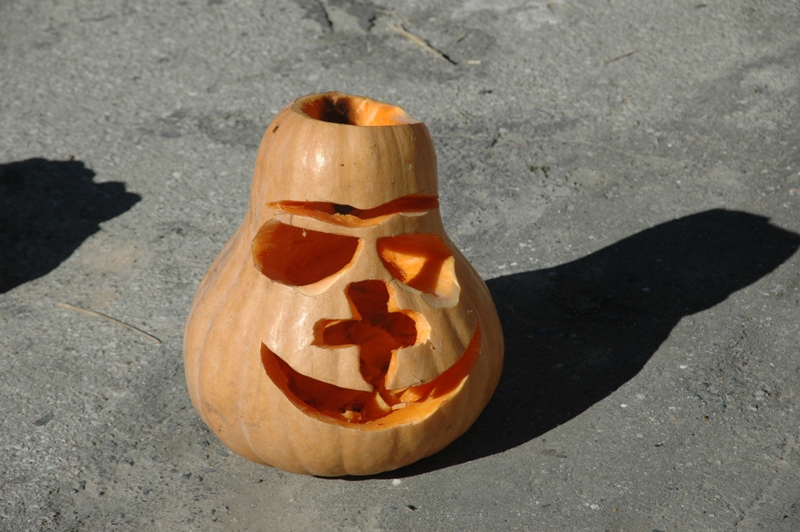 В Ялте проходит фестиваль тыквы