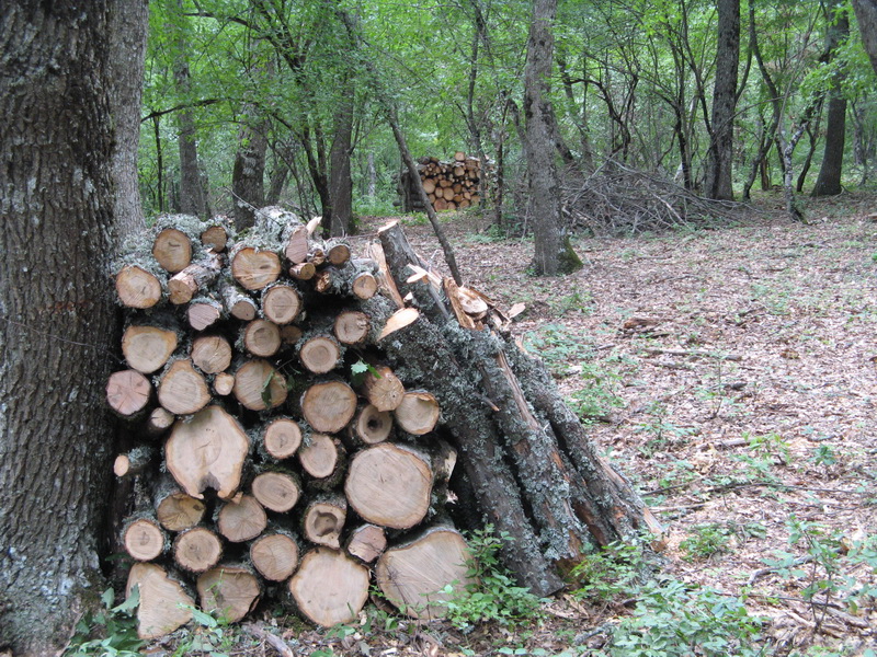В Крымском заповеднике незаконно ведется хоздеятельность, – экологи