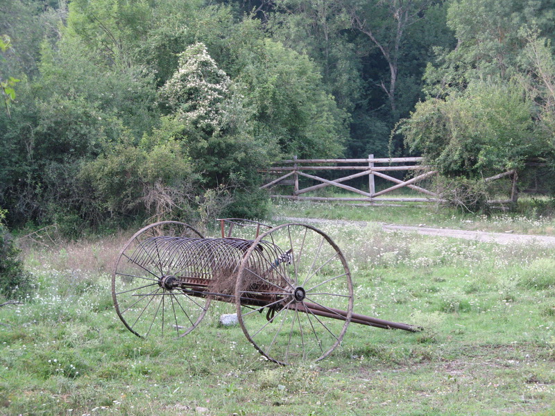 В Крымском заповеднике незаконно ведется хоздеятельность, – экологи