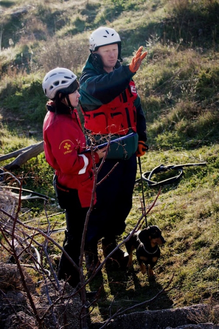 В Севастополе провели аттестацию собак-спасателей