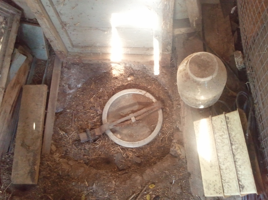 Житель Симферополя задержан за выращивание конопли