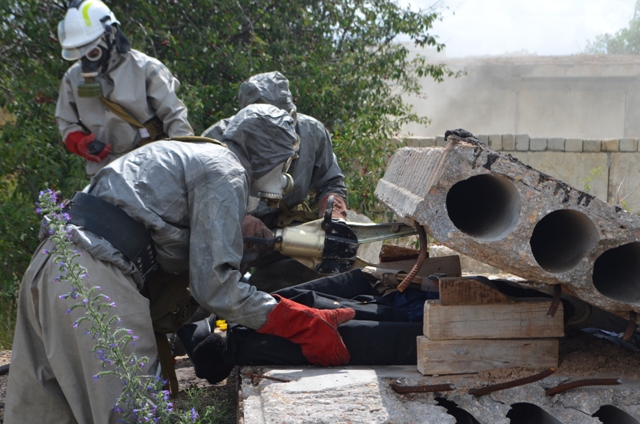 В Севастополе прошли учения спасателей и кинологов