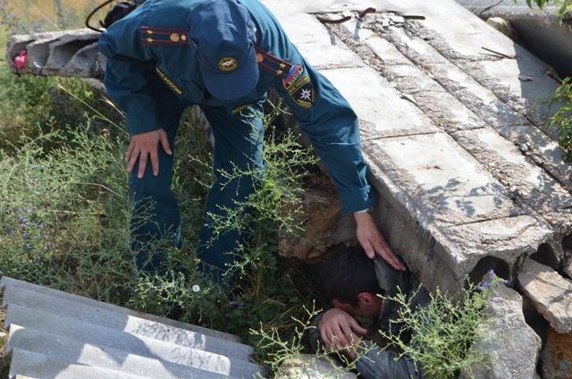 В Севастополе прошли учения спасателей и кинологов