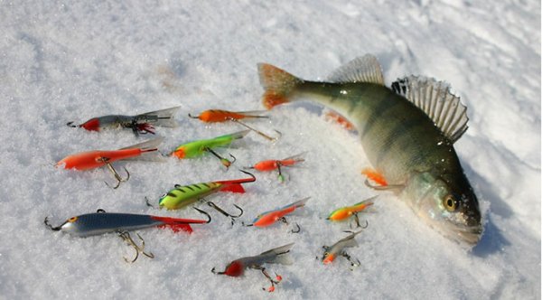 Снасти для зимней рыбалки