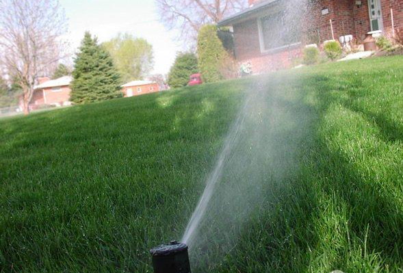 Благоустройство, инспекция по благоустройству, Симферополь благоустройство, В Алуште очищенную сточную воду будут использовать для полива растений