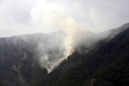 Возгорание лесной подстилки вблизи Ялты локализовано Возгорание лесной подстилки вблизи Ялты локализовано