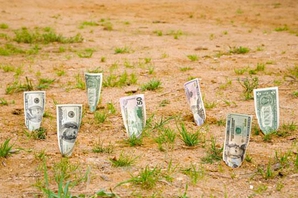 Налоги, В Крыму поступления платы за землю выросли на 20%