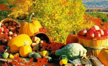 В Бахчисарае сегодня – праздник урожая В Бахчисарае сегодня – праздник урожая