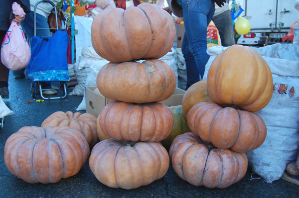 Перерабатывающие предприятия должны появиться в каждом районе Крыма, – Могилев
