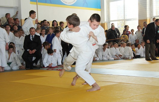Константинов открыл турнир по дзюдо «Осень – 2012» Константинов открыл турнир по дзюдо «Осень – 2012»