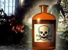 Происшествие, В Джанкое семья отравилась ядохимикатами