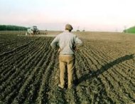 В Бахчисарайском районе пайщики агрофирмы «Крым» снова вышли на митинг агрофирма Крым, В Бахчисарайском районе пайщики агрофирмы «Крым» снова вышли на митинг