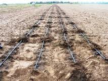 В Крыму реализуется проект по внедрению капельного орошения