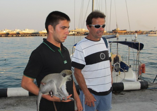 В Ялте запретили использовать животных для предпринимательской деятельности