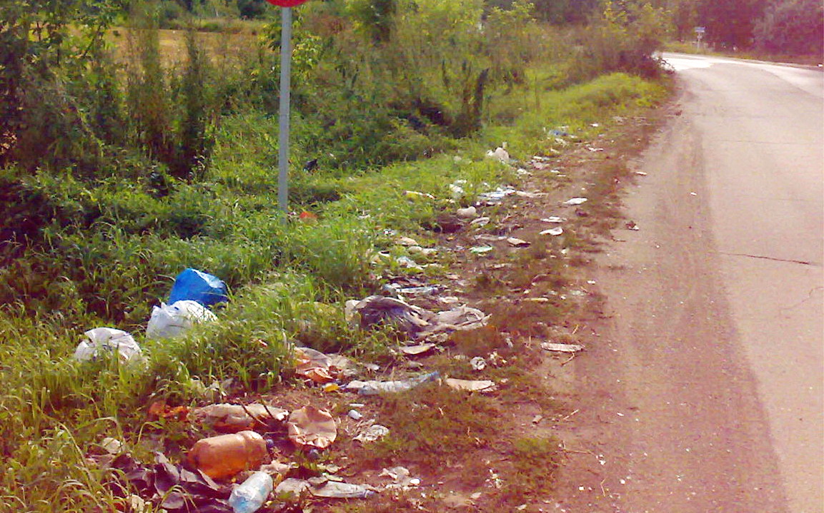 Могилев предлагает привлечь крымчан к уборке обочин дорог