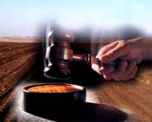 В Симферополе проведут аукционы по продаже земли Земельный аукцион, В Симферополе проведут аукционы по продаже земли