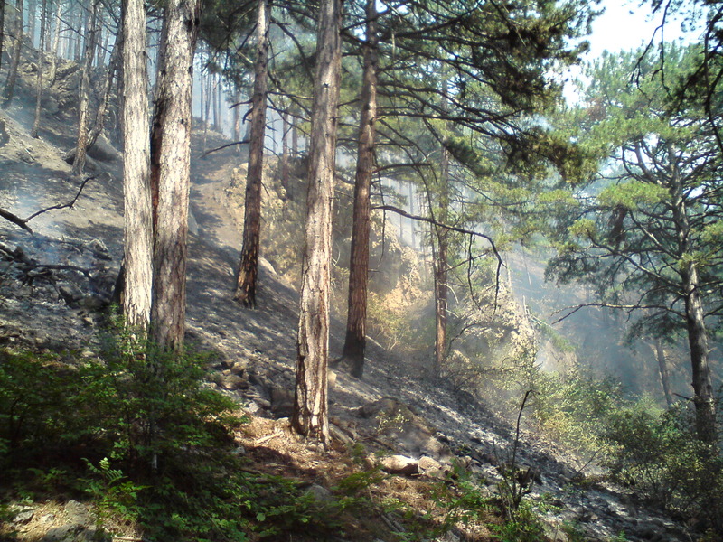 Пожар, В Крыму сохраняется чрезвычайная пожароопасность