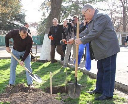 Благоустройство, В Симферополе начался конкурс «Правила чистоты»