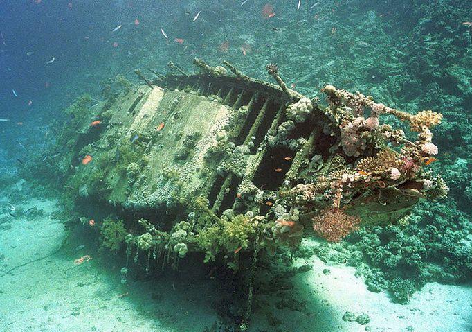 Дайвинг, строительство дайвинг-центра, У берегов Ялты затопят катер и старые троллейбусы