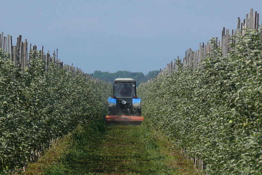Премьер Крыма намерен ускорить выплаты компенсаций аграриям Премьер Крыма намерен ускорить выплаты компенсаций аграриям